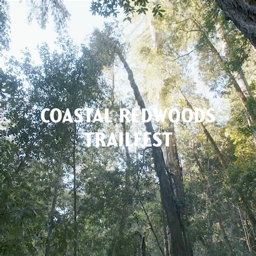 Trailfest: a celebration of trail running, nature, friendship, and more. Three days of running, camping, and workshops. May 14 - 18, 2025 | Vacation Races