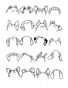 Dog Ear Blank Coloring Sheet (20) - Etsy Canada