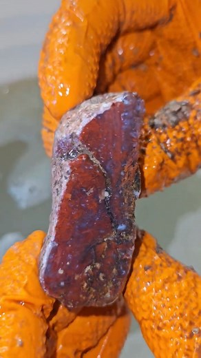 Cutting red vivid agate!