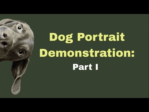 Dogs in Art: Dog Portrait Demonstation, Part I
