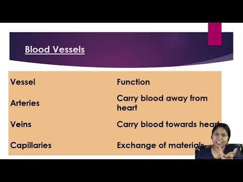 📚LIFE PROCESSES: CIRCULATORY SYSTEM (CLASS 10th SCIENCE NCERT) BIOLOGY BULLET