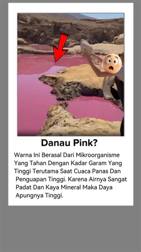 baru tahu, danau berwarna Pink.. 😯