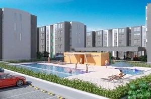 Bambu - San Antonio | Amarilo