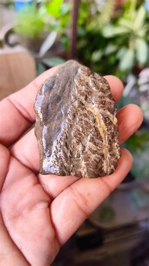 The Dragon Pattern Stone with beautiful patterns on one side is produced in Taiwan