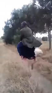 16K views · 428 reactions | RTX on with this Chocobo Racing Remaster | Final Fantasy Rocks My World | Facebook