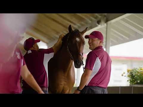 2024 September Yearling Sale