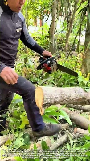 Chainsaw in the Wild: How One Cut Can Save a Forest—Or Start a Fire