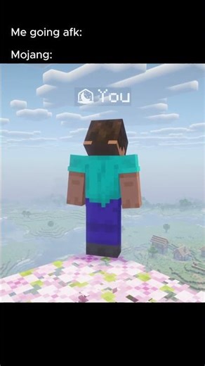 When you go afk in minecraft