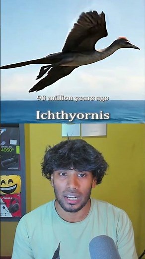 Chicken Evolution History in 30 Seconds 🐔