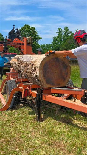 Danner Cronise | Milling massive poplar into siding #sawmill #diy #satisfying | Instagram
