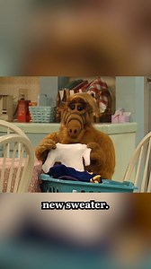 226K views · 6.9K reactions | 3 Stages of Courtship in Melmac ‍ #ALF #comedy #humor #sitcom #tvshow | Alf | Facebook