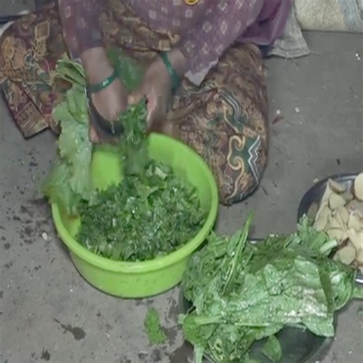 21K views · 569 reactions | Traditional village life. | Traditional Life TV | Facebook