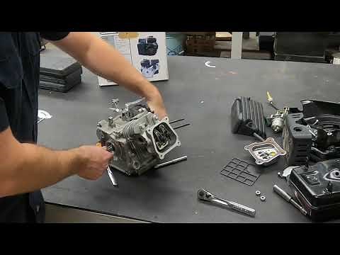 79CC Predator Engine Tear Down