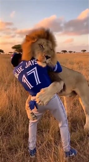 What Happens When a Lion Hugs You?