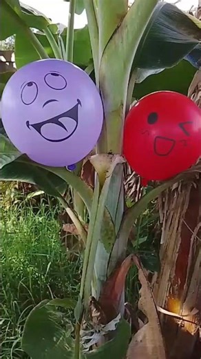 Popping 2 Red and Purple Balloons with Emotional Designs