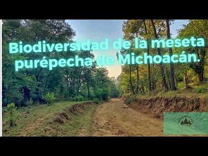 Biodiversidad de la meseta purépecha de Michoacán México #information #nature #noticias