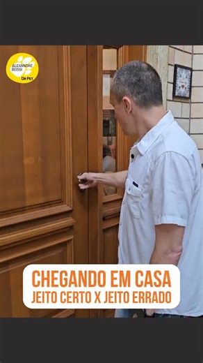 Alexandre Rossi Dr Pet on Instagram: "Você faz festa pro seu pet ao chegar em casa? Eu sei que quando você chega, ele vem te receber superfeliz e com aquela cara de “que bom que você voltou”. Mas apesar de ser quase irresistível, não é uma boa ideia fazer muita festa pra ele. Isso pode piorar a dependência que ele tem de você, fazendo com que ele fique aguardando esse momento e sofrendo enquanto fica sozinho te esperando. Por isso, hoje vim te mostrar o jeito certo e o jeito errado de chegar em