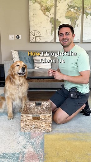 774K views · 10K reactions | How I Taught my Dog “Clean Up” ⭐️ SAVE...