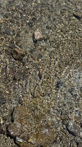 69K views · 1.3K reactions | Today in Canmore | The Banff Blog | Facebook