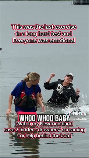 11K views · 563 reactions | Watch my Newfoundland Boomer perform the hidden victims rescue exercise in our WRDX (Water Rescue Dog Excellent) test! This is the last exercise in the test. The dog must go out when directed to 2 screaming but hidden victims to a boat 75 ft from shore and bring them back to the handler at wading depth. Boomer passed all exercises for his WRDX this day! 﫶 | Molly The Newfie & Co | Facebook