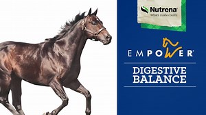 16 reactions · 37 shares | Looking for a supplement designed to support the overall gastrointestinal health and maintain normal gastric pH in your horse's gut? Look no further than Empower Digestive Balance. | Nutrena Feed | Facebook
