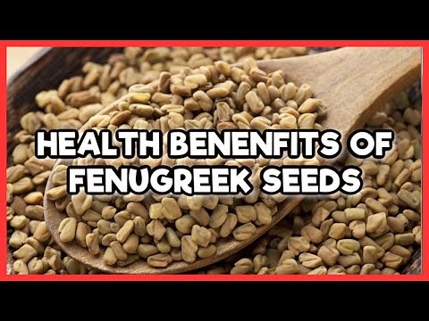 14 Wonderful Benefits Of Fenugreek You Must Know Today