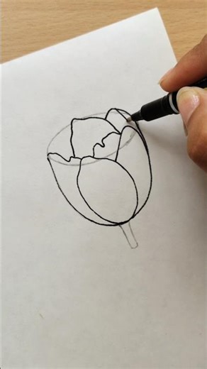 #howtodraw #flowers #howto