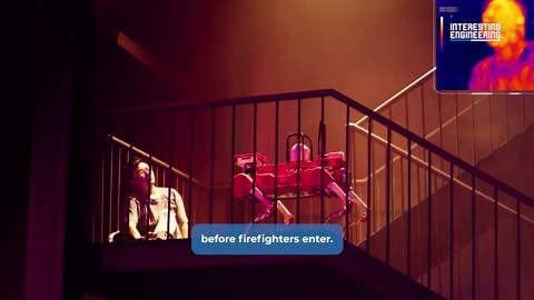 AI-powered robot dogs enter the front lines of firefighting