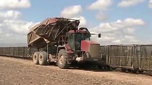 1M views · 7.1K reactions | Você já viu como funciona o transbordamento de cana na Austrália? Bem diferente do que fazemos no Brasil, não é? O que acharam? | Revista RPAnews | Facebook