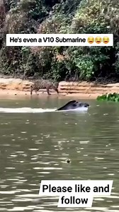 127K views · 1.3K reactions | V20 Submarine #fbreels #viralreelsfacebook #followersreels #warthog #forest #animal #wildlife #racelife | MR Warthog - v16 cylinder | Facebook