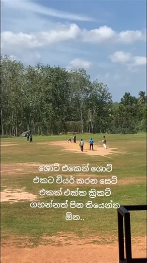 Life Cricket Club: Join the Over 40 Cricket Action