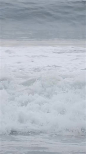 961K views · 263 reactions | You get the idea. Use Code HOLIDAY for 20% Off Sitewide. | 69Golf | Facebook