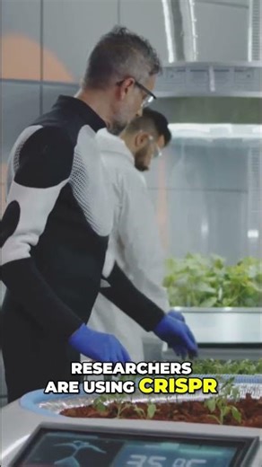 Stop Crops Dying: Super Plants Beat Extreme Heat!