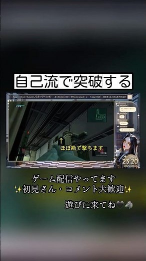 自己流で突破する【メタルギアソリッド2/METAL GEAR SOLID2】