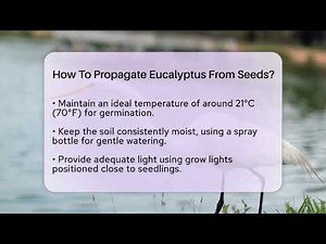 How To Propagate Eucalyptus From Seeds? - Ecosystem Essentials