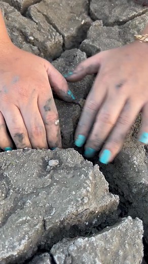 Crystal Pearl Inside Shell | Brian Freeman A