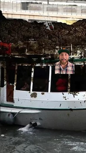 Dave Matthews Band Dumped Human Crap In The Chicago Rive (and tour boat passengers) 20 years ago