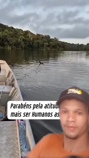 17K views · 117 reactions | Pato #reelsviralシ #animais #animaisfofos | Já Falei | Facebook