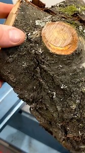 I loved turning this! #woodturning #fblifestyle | Red Kite Woodturning