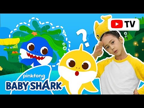 [4K] Where is Daddy Shark? | Kids Choreography | Dance Along | Baby Shark Official