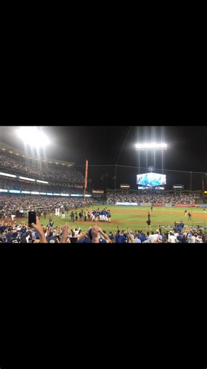Dodgers- World Series! | Erin Murphy