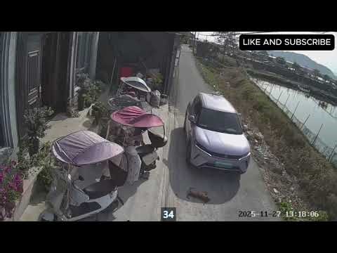 Top 39 Epic Driving Fails 2025 – Instant Karma on the Road