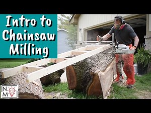 How to Start Alaskan Chainsaw Milling | Milling a Figured Walnut Tree