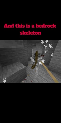 Skeletons in Java vs Bedrock.