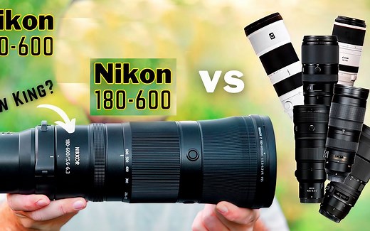 终极镜头对决！ 索尼 200-600 vs 佳能 100-500 vs 尼康 180-600