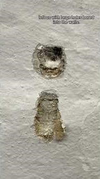 shuttle loom mechanism #machine