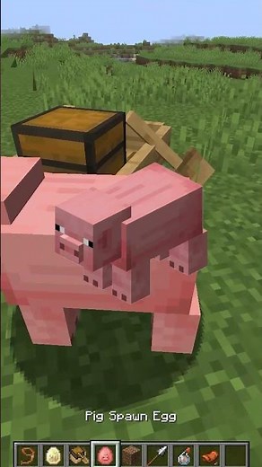 new way to fly in minecraft?!😱