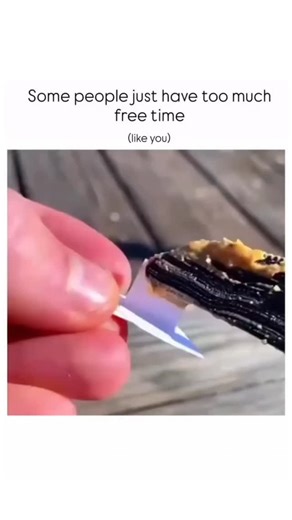 FUNNY OPPS CLIPS on Instagram: "The video features a playful prank involving a pigeon.It starts with a close-up shot of a hand holding a small, paper cutout of a smiling mouth with bright red lips and white teeth. The hand is applying a sticky substance, possibly peanut butter or another similar food, to the back of the cutout. The background is a wooden surface, suggesting an outdoor location like a boardwalk or deck.The hand then carefully places the small cutout, sticky-side up, on the wooden