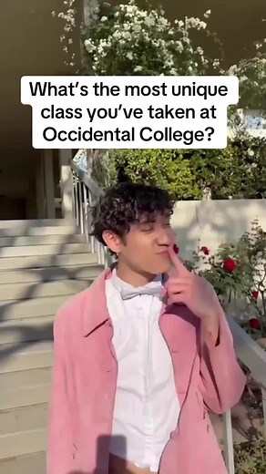 In case you need ideas for Fall 2025 😇 #occidentalcollege #liberalarts #collegeclasses