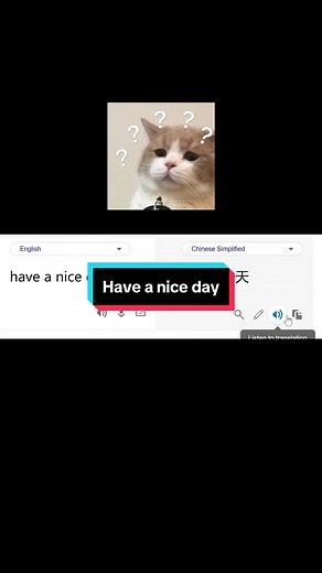 Common Chinese Phrases for